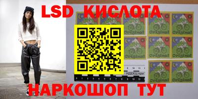 сатива Краснодар