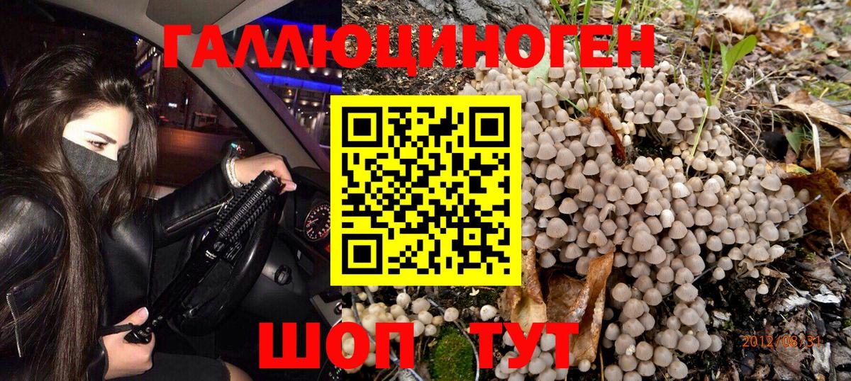 Псилоцибиновые грибы мухоморы  Псилоцибиновые грибы прущие грибы  Кировск  Вход с VPN 